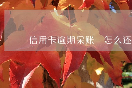 信用卡逾期呆账 怎么还 信用卡逾期呆账 怎么还